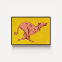 Greyhound Running