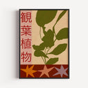House Plants