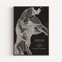 The Anatomy of Humane Bodies