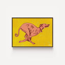 Greyhound Running