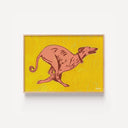Greyhound Running