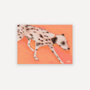 Running Dalmation