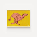 Greyhound Running
